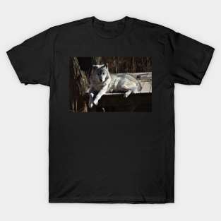 Wolf T-Shirt